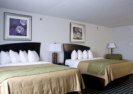 Comfort & Hotel 2*